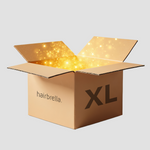 Best Seller Mystery Item - XL Edition